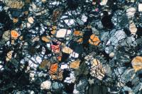 Pyroxénite serpentinisée LPA x10